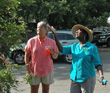 Master Gardener Melody Parsley and Laverne Davis discuss wisteria climbing up one of the art installations.