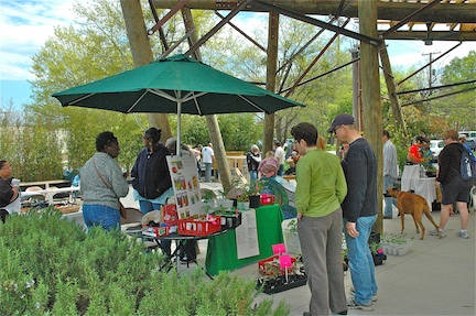 Cool temps and other activities didn't take a toll on the turn out at the Third Annual Plant & Poultry Swap.
